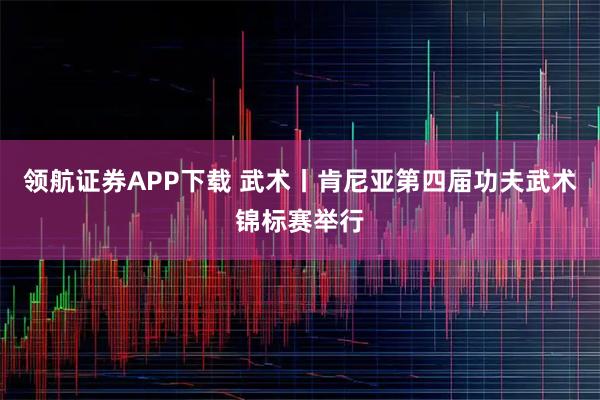 领航证券APP下载 武术丨肯尼亚第四届功夫武术锦标赛举行